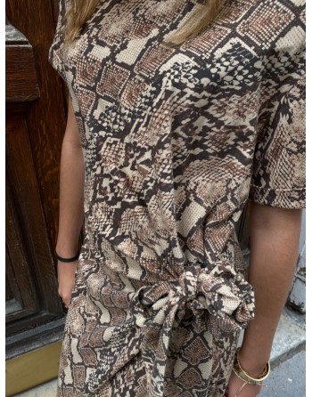 Robe Snake